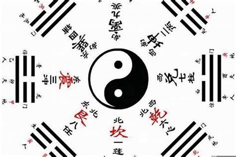 六爻意思|什么是六爻？